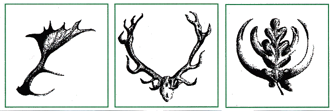 Hochwildring Segeberger Heide